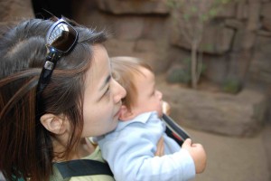 in the desert exhibit