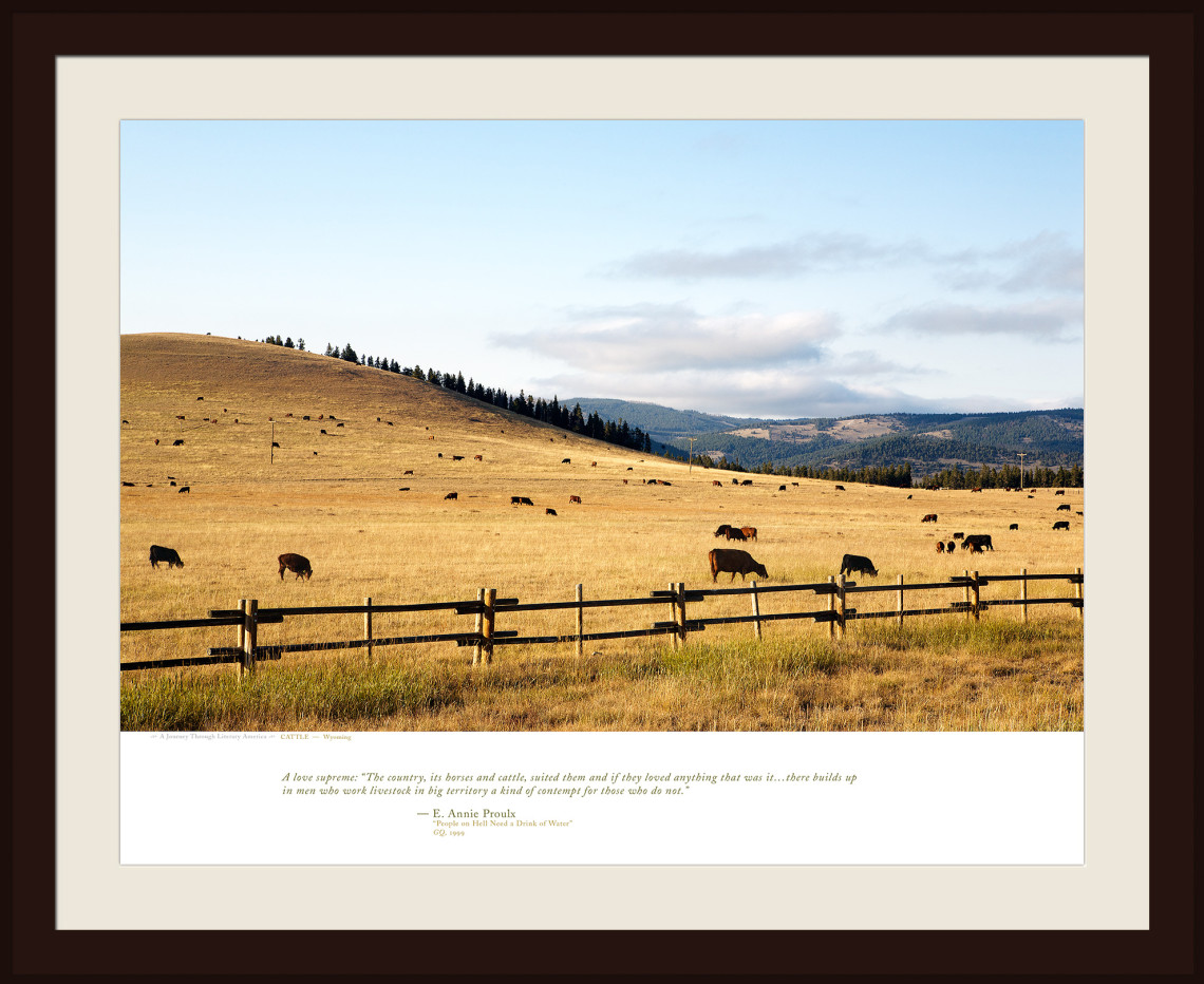 CATTLE — Wyoming