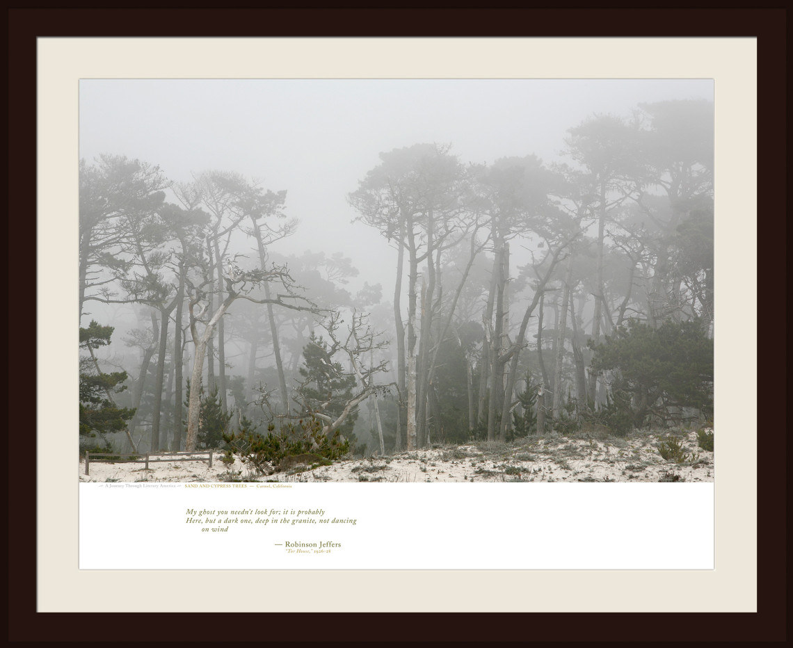 SAND AND CYPRESS TREES — Carmel, California