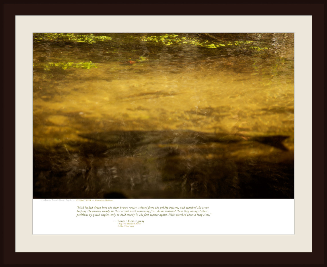 STEADY TROUT — Horton Bay, Michigan